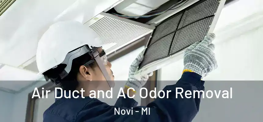  Air Duct and AC Odor Removal Novi - MI