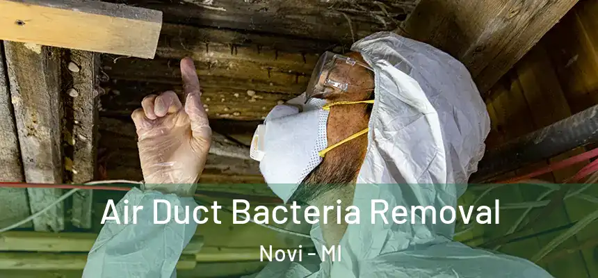 Air Duct Bacteria Removal Novi - MI
