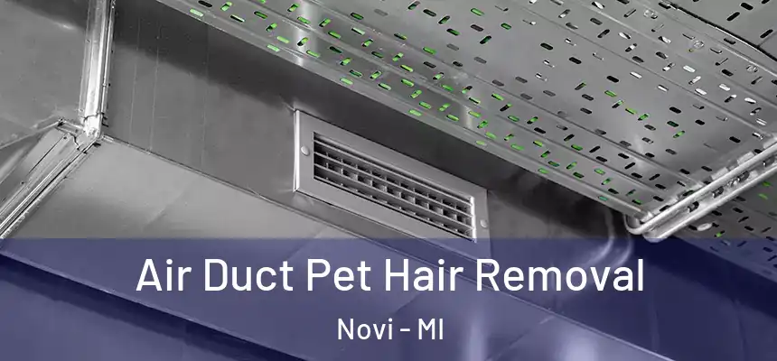 Air Duct Pet Hair Removal Novi - MI