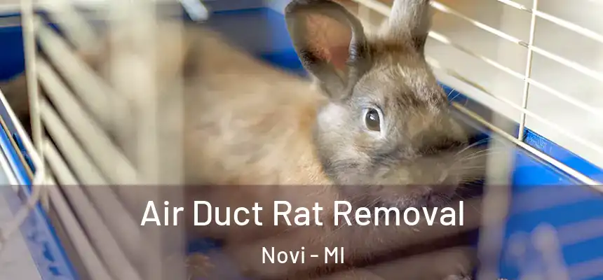  Air Duct Rat Removal Novi - MI