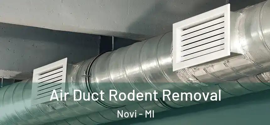  Air Duct Rodent Removal Novi - MI
