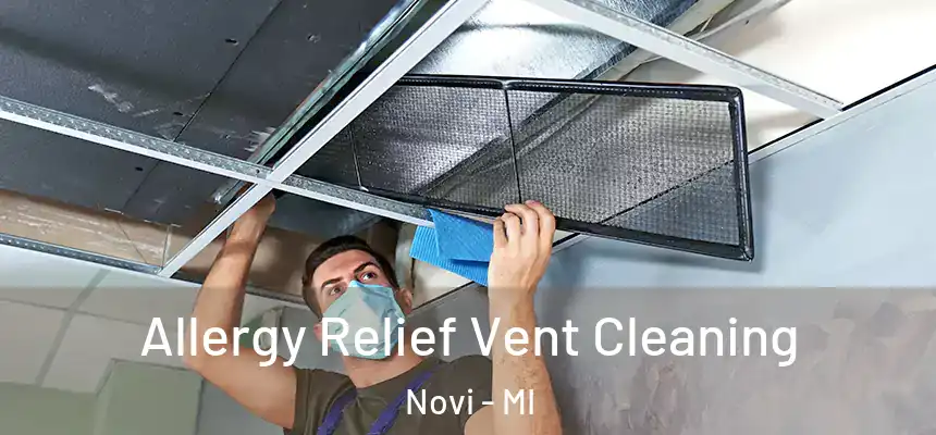 Allergy Relief Vent Cleaning Novi - MI