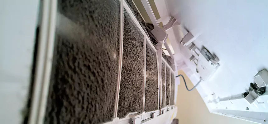 Preventive Air Duct Bacteria Removal in Novi