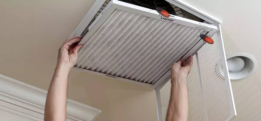 Preventive Cockroach-Proofing for Ducts in Novi
