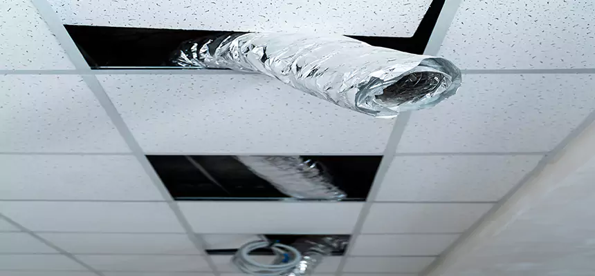 Affordable HVAC Sanitizing After Pest Removal in Novi