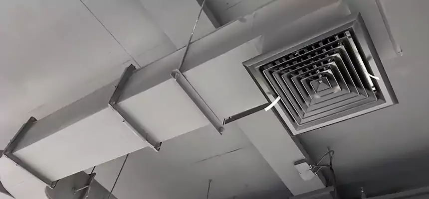 Restorative Allergy Relief Vent Cleaning – Coil, Blower & Housing Detail in Novi