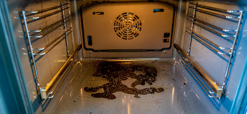 Our Dryer Vent Mold Cleaning Services in Novi, MI