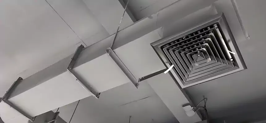 Our Pest Removal From Ducts Services in Novi, MI