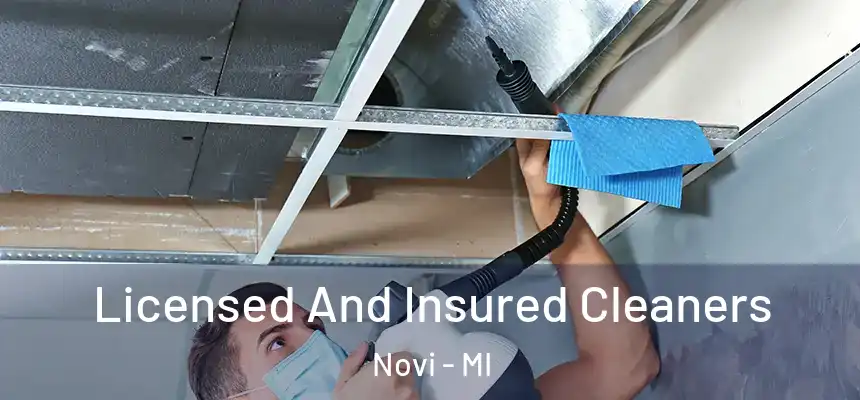  Licensed And Insured Cleaners Novi - MI