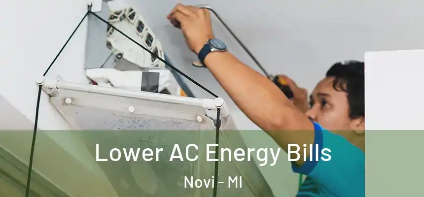  Lower AC Energy Bills Novi - MI