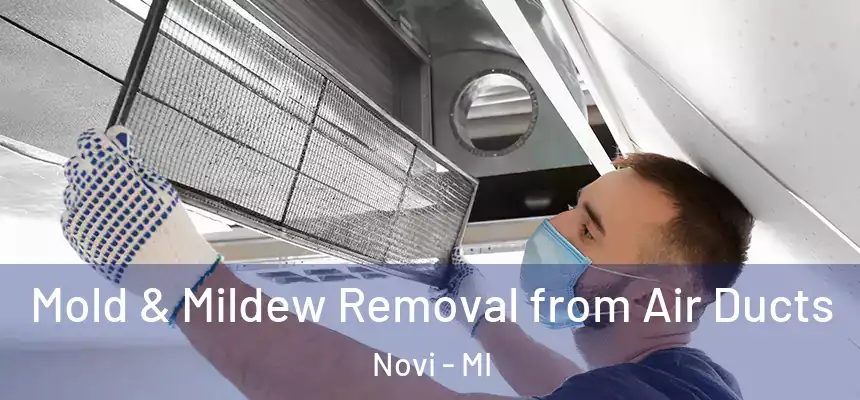 Mold & Mildew Removal from Air Ducts Novi - MI