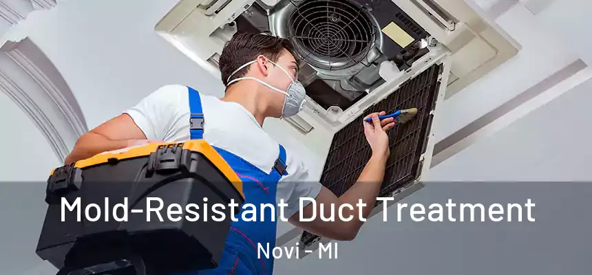  Mold-Resistant Duct Treatment Novi - MI