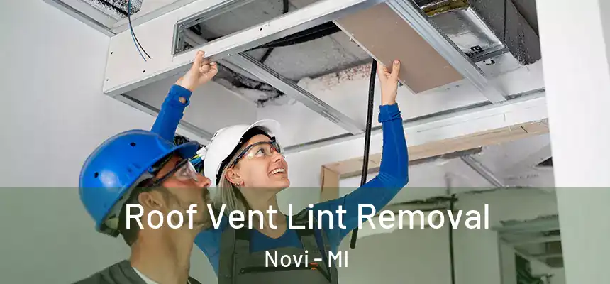 Roof Vent Lint Removal Novi - MI