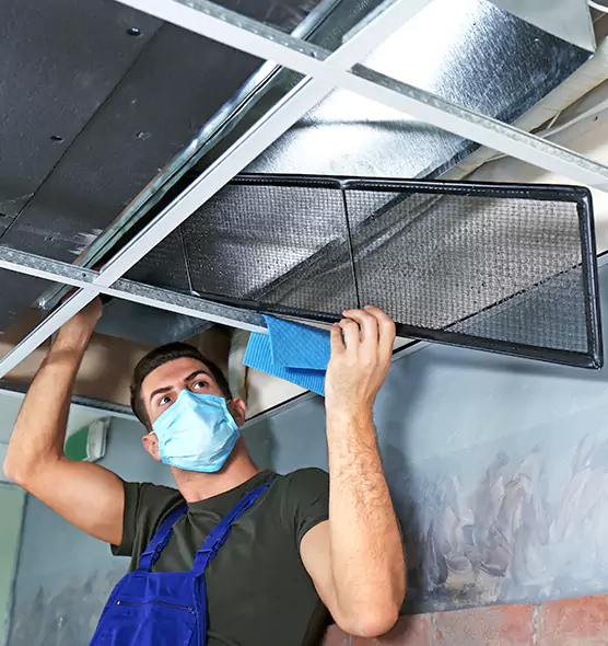 About Air Duct Bacteria Removal in Novi