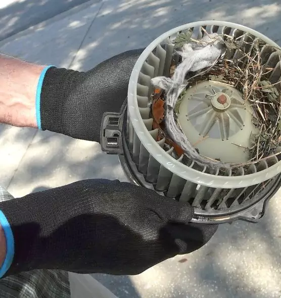 About Air Duct Mice Removal in Novi, MI