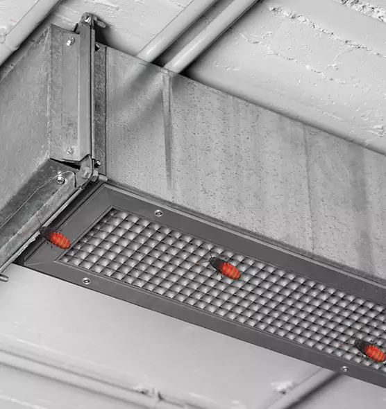 Affordable Insect Removal from Air Ducts in Novi, MI