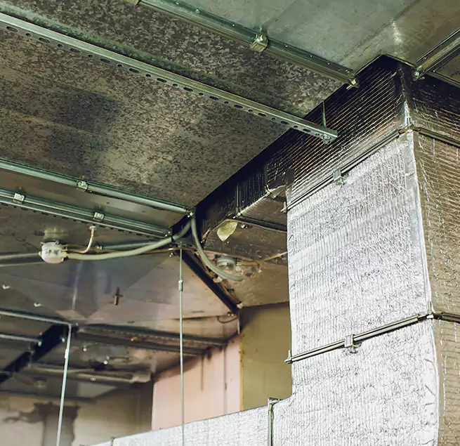 Why Homeowners & Businesses Trust Us in Novi, MI?